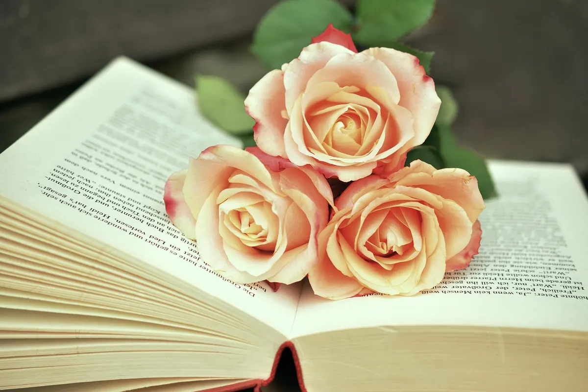 The Ultimate Summer Holiday Reading List for British Beaches
